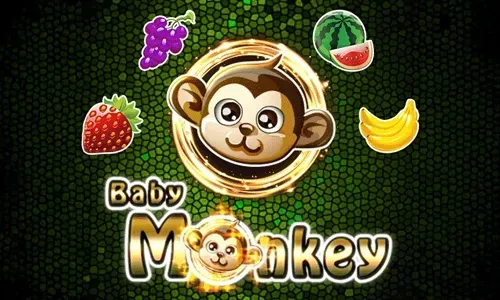 Baby Monkey
