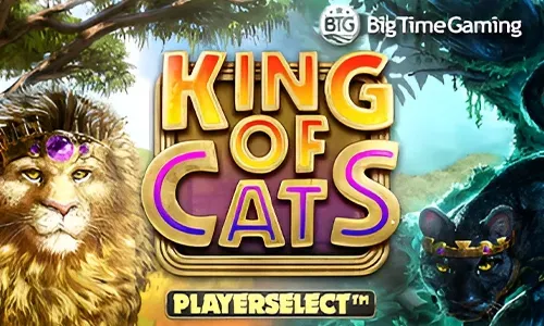 King of Cats