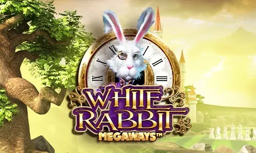 White Rabbit