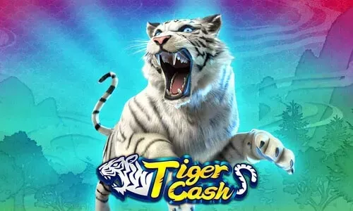 Tiger Cash