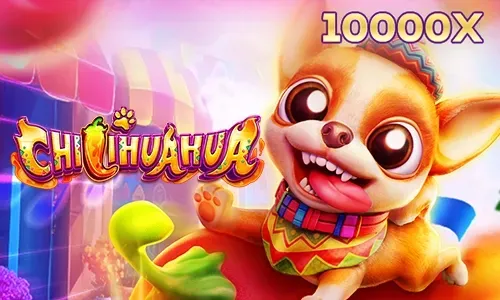 CHILIHUAHUA