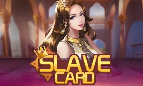 Slave Card