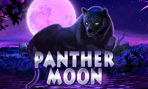 Panther Moon