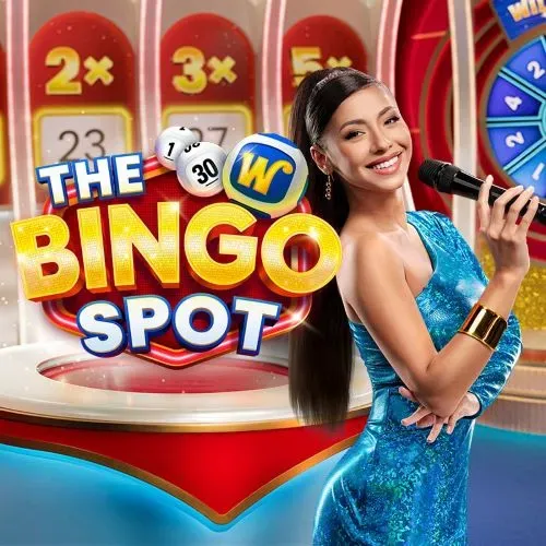 The Bingo Spot