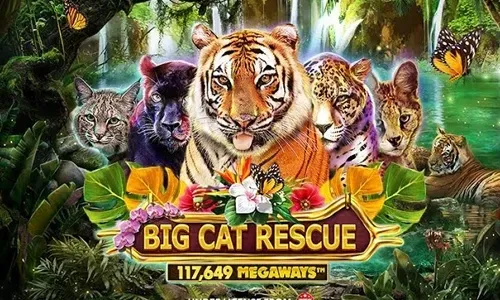Big Cat Rescue Megaways™