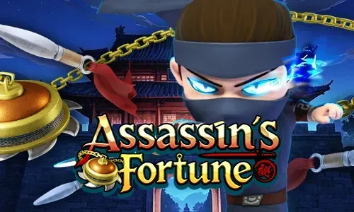 Assassin's Fortune