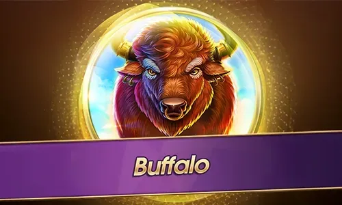 Buffalo