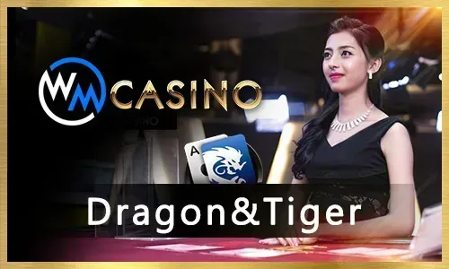 Dragon Tiger - WM live casino on Betso88