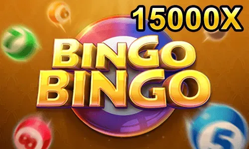 Bingo Bingo