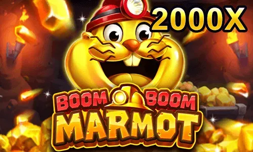 Boom Boom Marmot